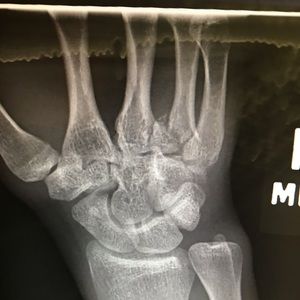 Meet your Posher, Brandon